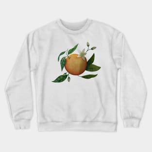 Hand Drawn Oranges Crewneck Sweatshirt